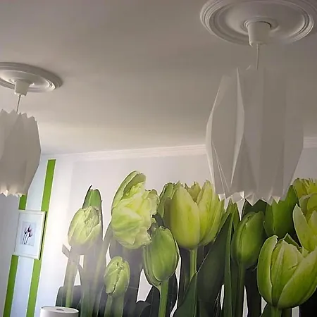 Artrooms بوزنان